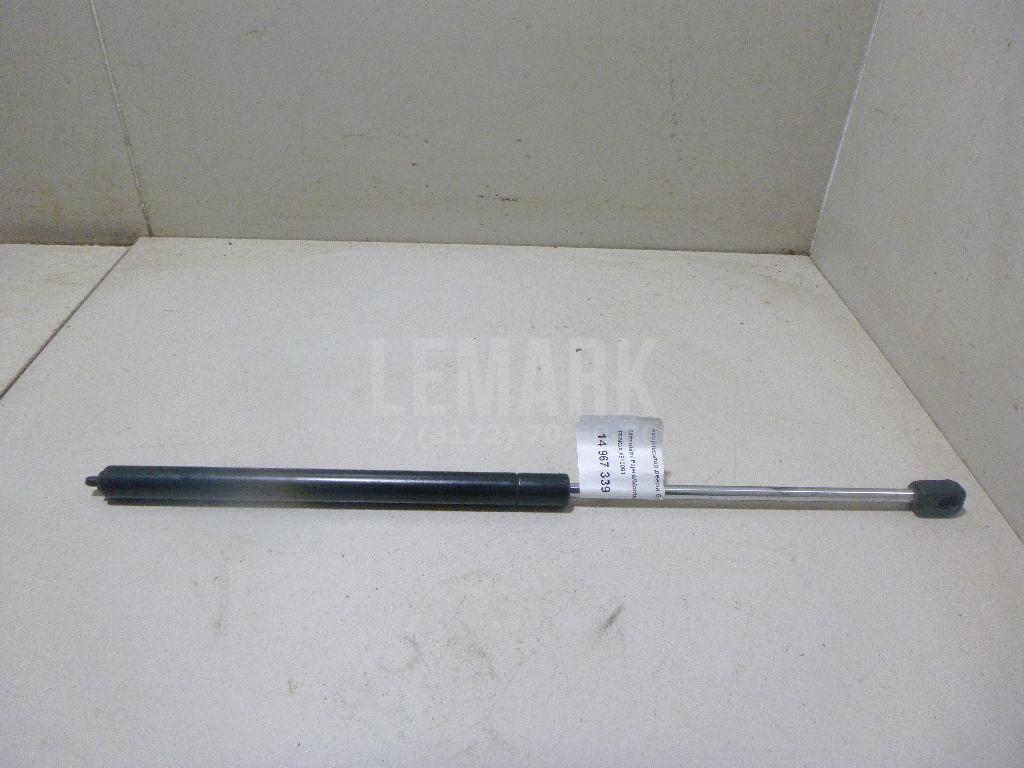 Амортизатор двери багажника A910001 FENOX