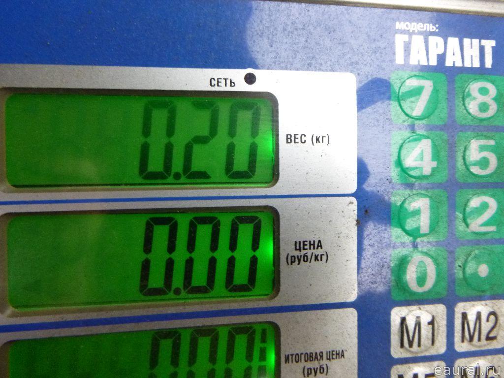 Динамик
