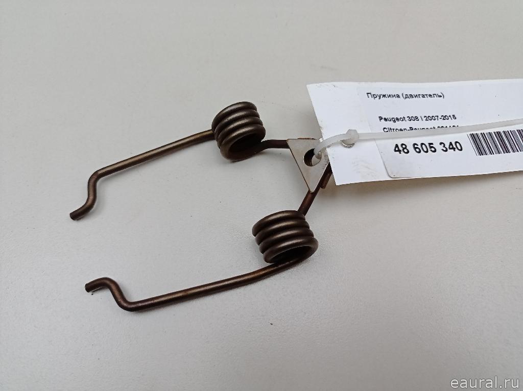 Пружина (двигатель)