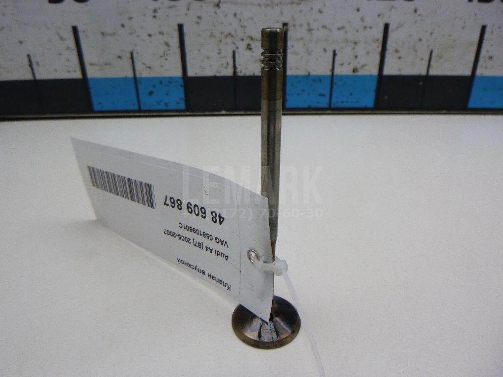 Клапан впускной 058109601C VAG