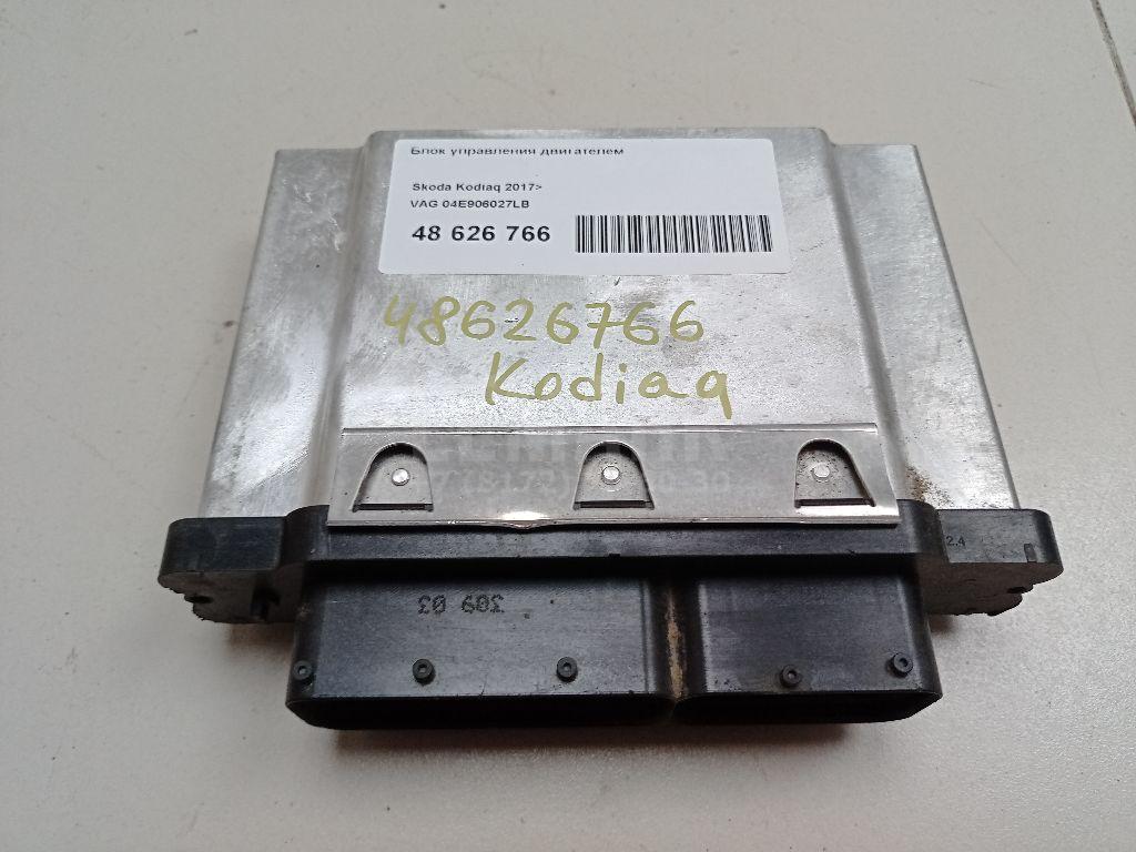 Блок управления двигателем 04E906027LB VAG