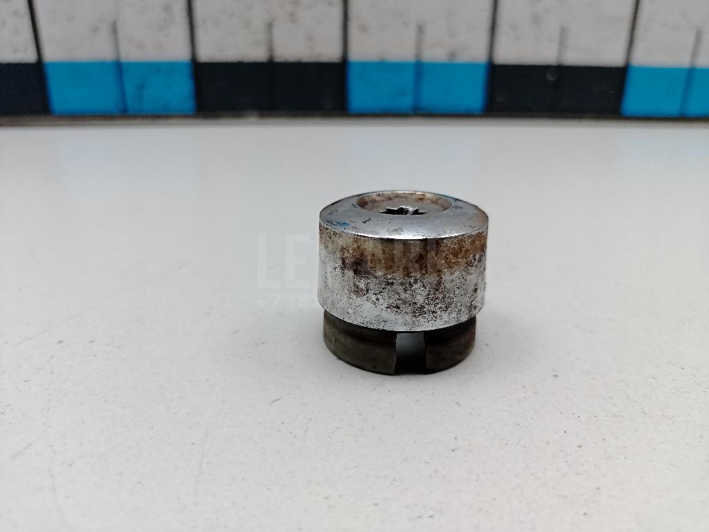 Колпачок колёсного болта 7L6601173A2ZZ VAG
