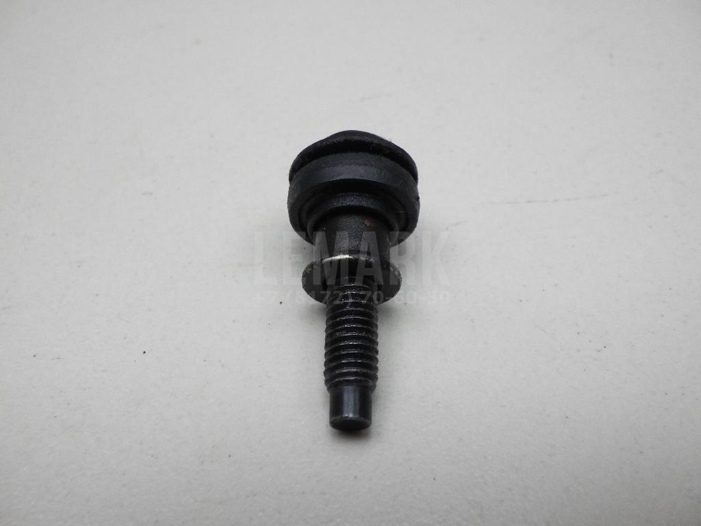 Болт клапанной крышки 06B103831J VAG