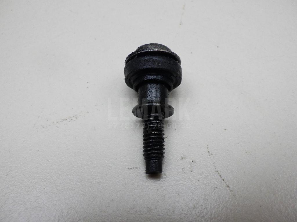 Болт клапанной крышки 06B103831J VAG