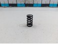 Пружина клапана