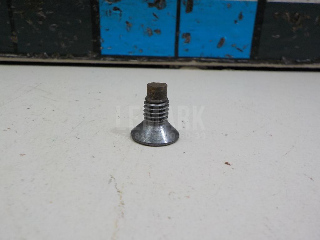 Болт крепления диска 7703004176 Renault