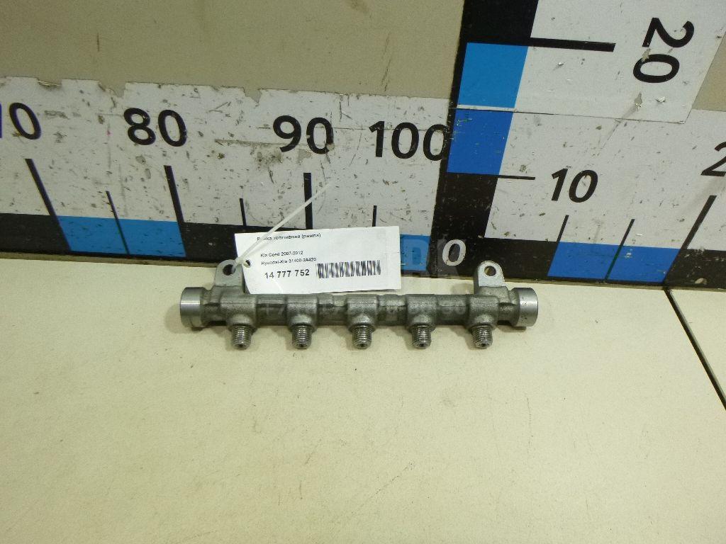 Рейка топливная (рампа) 314002A420 Hyundai-Kia